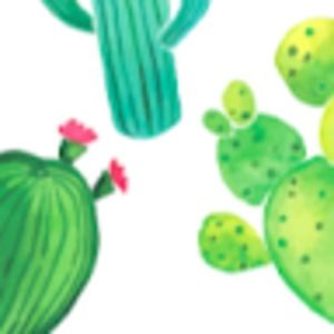 Meet your Posher, Caris